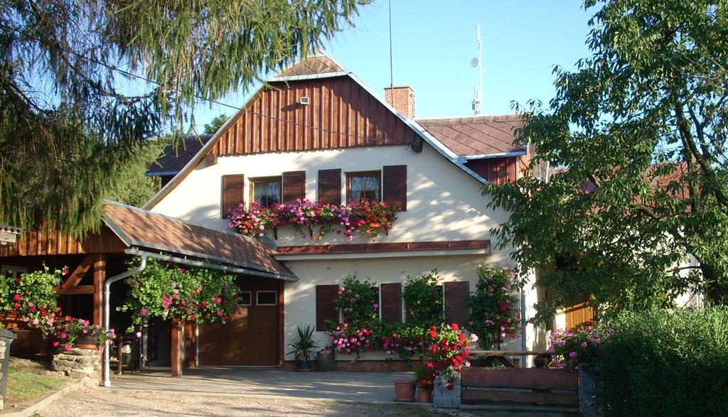 Jestrabi V Krkonosich Pension Ivanka מראה חיצוני תמונה